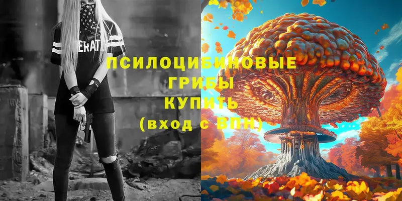 Галлюциногенные грибы Magic Shrooms  Велиж 