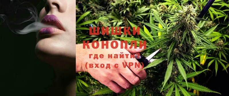 Бошки Шишки SATIVA & INDICA  мега рабочий сайт  Велиж  купить наркоту 